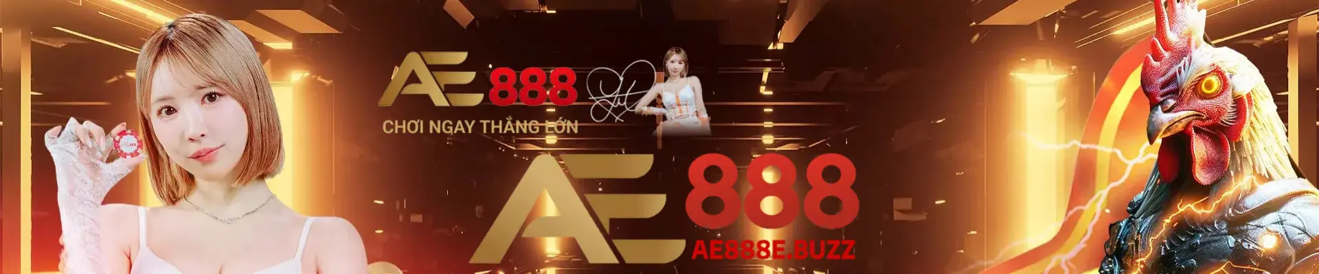 1banner-ae888