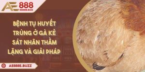 benh-tu-huyet-trung-o-ga