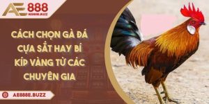 cach-chon-ga-da-cua-sat