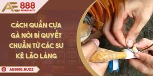 cach-quan-cua-ga-noi