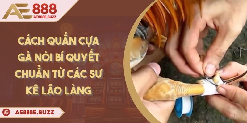 cach-quan-cua-ga-noi