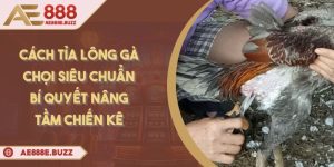 cach-tia-long-ga-choi