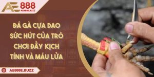 da-ga-cua-dao