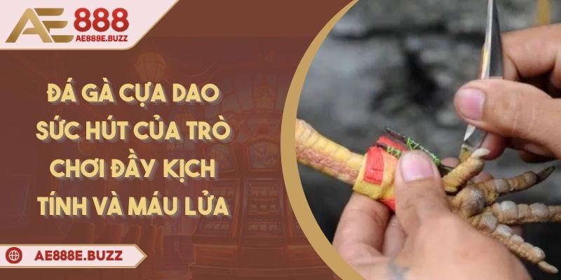 da-ga-cua-dao
