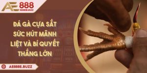 da-ga-cua-sat
