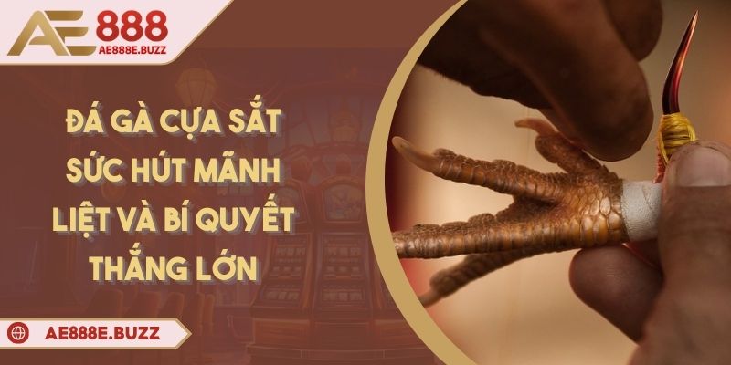 da-ga-cua-sat
