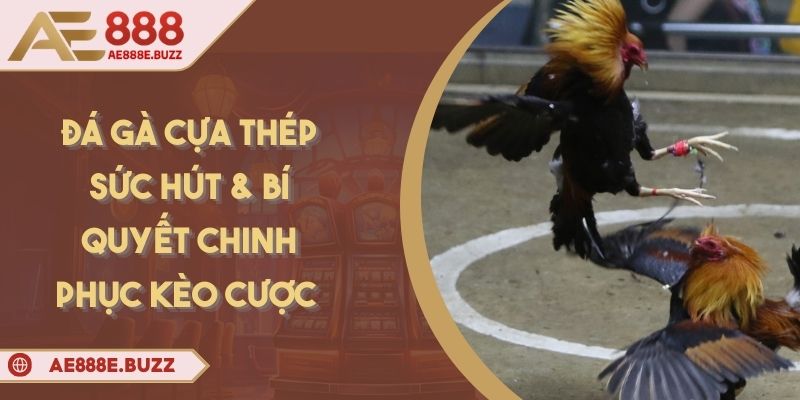 da-ga-cua-thep