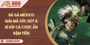 da-ga-mexico