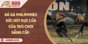 da-ga-philippines