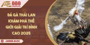da-ga-thai-lan
