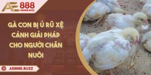 ga-con-bi-u-ru-xe-canh