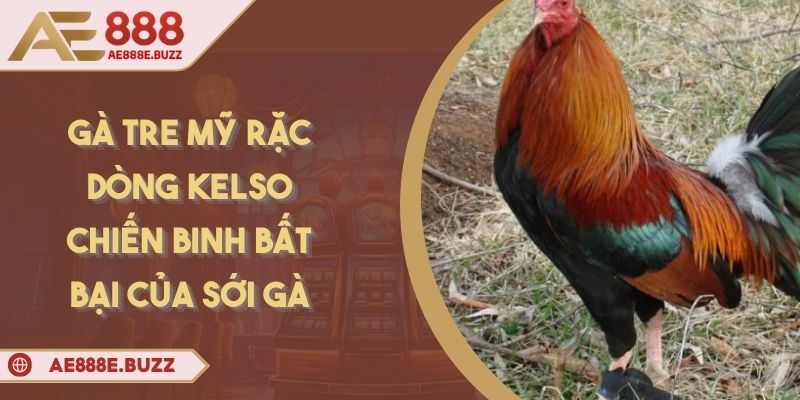 ga-tre-my-rac-dong-kelso