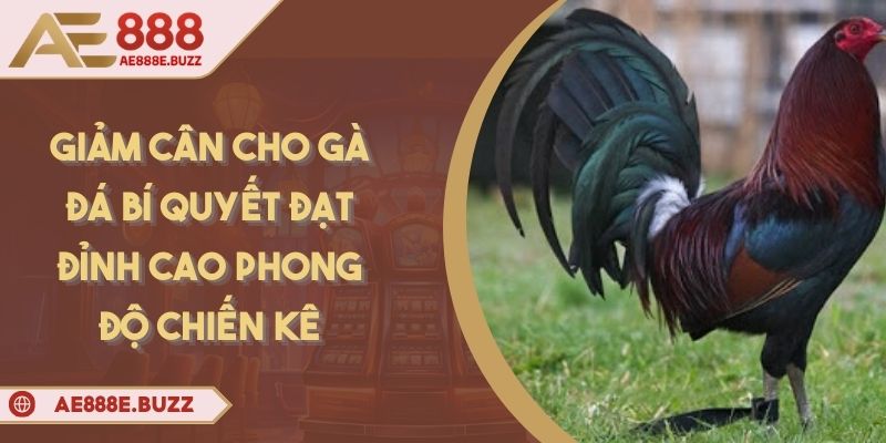 giam-can-cho-ga-da