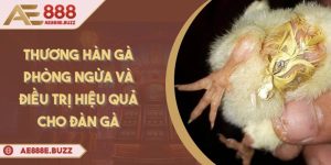 thuong-han-ga