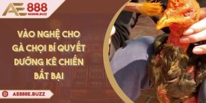 vao-nghe-cho-ga-choi