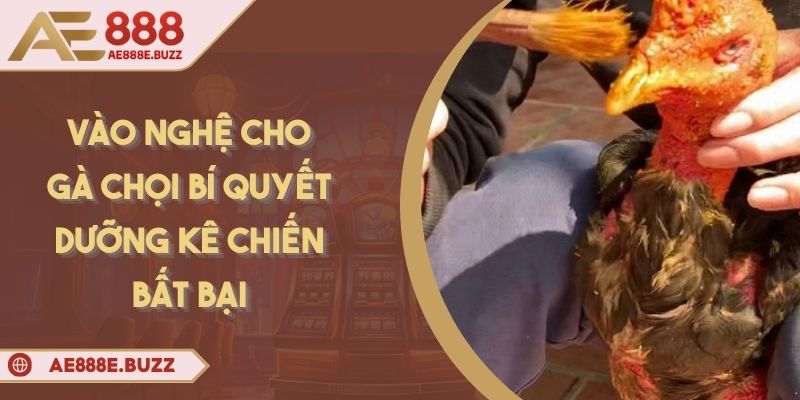 vao-nghe-cho-ga-choi